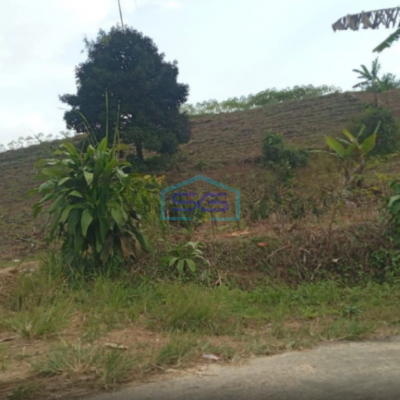 Dijual Tanah Lokasi di Cikembar Sukabumi Lahan Bagus LT 50000m2