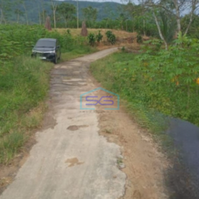 Dijual Tanah Lokasi di Cikembar Sukabumi Lahan Bagus LT 50000m2