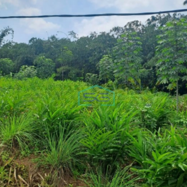 Dijual Tanah Di Daerah Rumpin Bogor Luas Tanah 10000m2-1