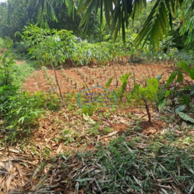 Dijual Tanah Di Daerah Kemang Bogor Lokasi Bebas Banjir LT 1000m2