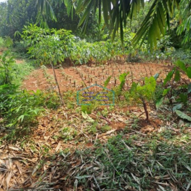 Dijual Tanah Di Daerah Kemang Bogor Lokasi Bebas Banjir LT 1000m2-3