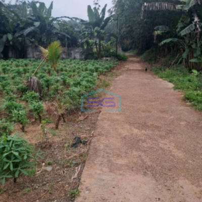 Dijual Tanah Di Daerah Ciseeng Bogor Bebas Banjir LT 1009m2