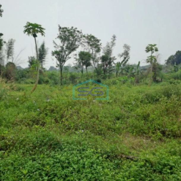 Dijual Tanah Sangat Bagus di Ciseeng Bogor Luas Tanah 90000m2-1