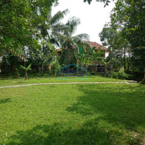 Dijual Tanah Di Ciampea Udik Bogor Dengan Luas 50000m2-1