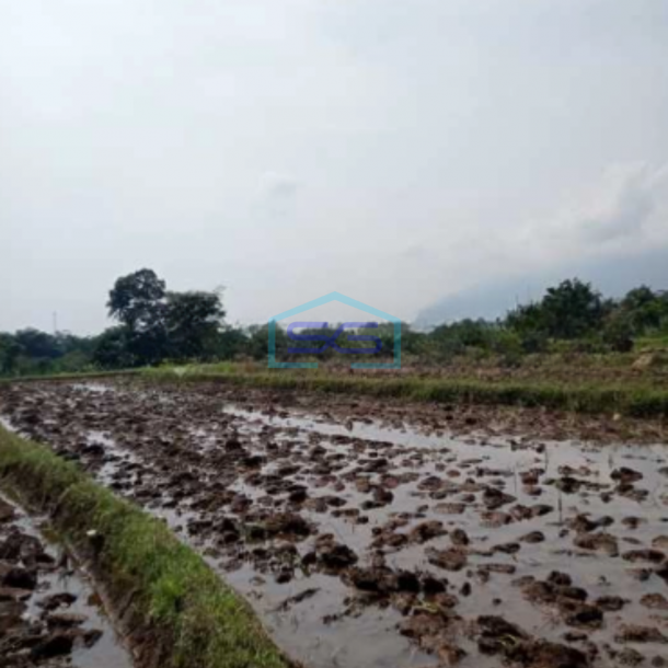 Dijual Tanah Di Ciampea Udik Bogor Dengan Luas 50000m2-3