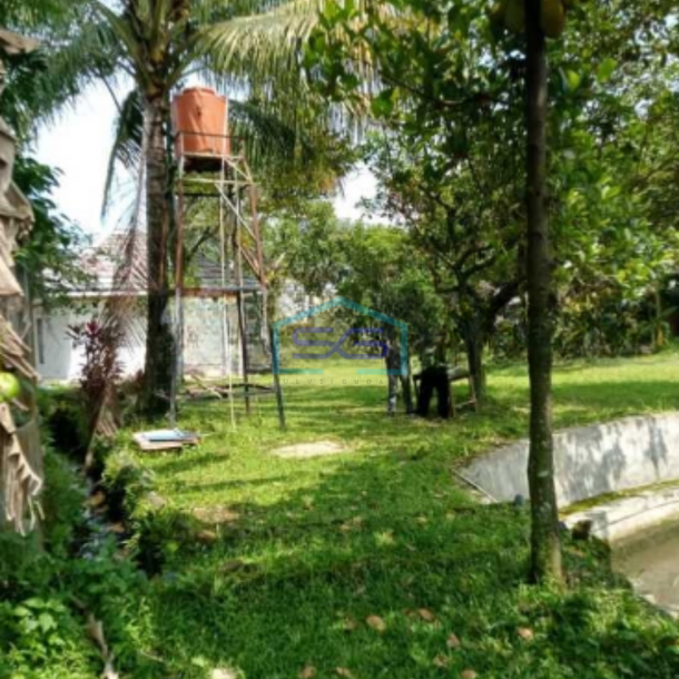 Dijual Tanah Di Ciampea Udik Bogor Dengan Luas 50000m2-2