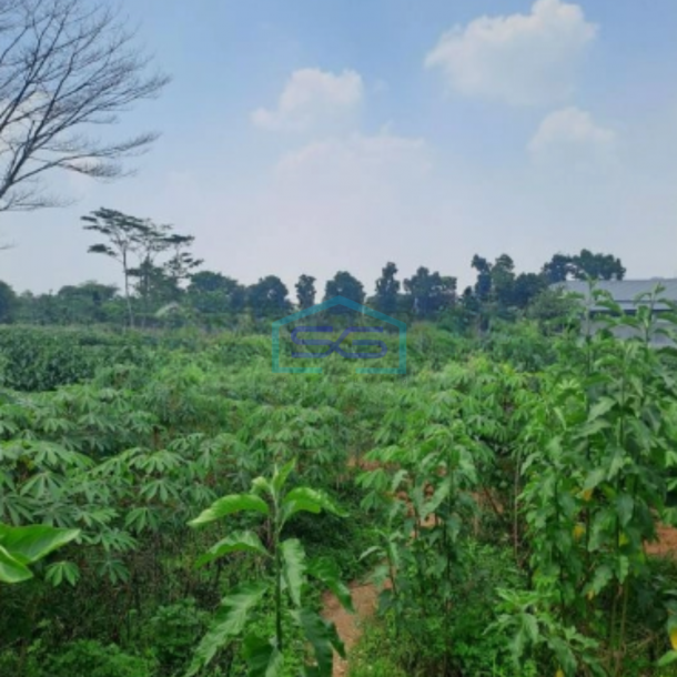 Dijual Tanah di Babakan Madang Sentul City Bogor Luas Tanah 16000m2-3