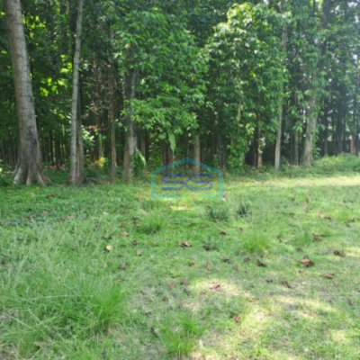 Dijual Tanah di Jalan Raya Babakan Madang Sentul Bogor LT 27000m2