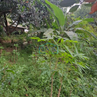 Dijual Tanah Di Cibinong Pinggir Jalan Raya Gor Pemda Bogor Luas Tanah 2500m2