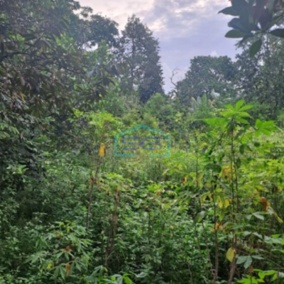 Dijual Tanah Di Cibinong Pinggir Jalan Raya Gor Pemda Bogor Luas Tanah 2500m2