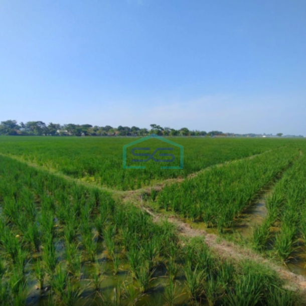 Dijual Tanah Lokasi Strategis di Tirtajaya karawang Luas 5 Ha-2