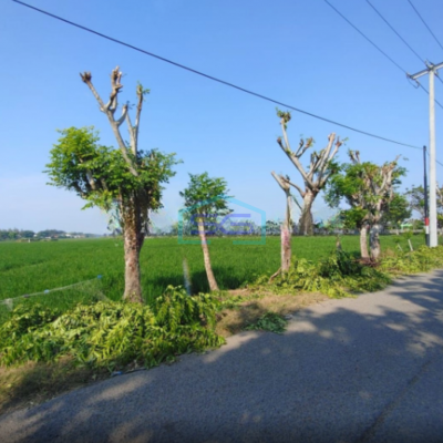 Dijual Tanah Lokasi Strategis di Tirtajaya karawang Luas 5 Ha