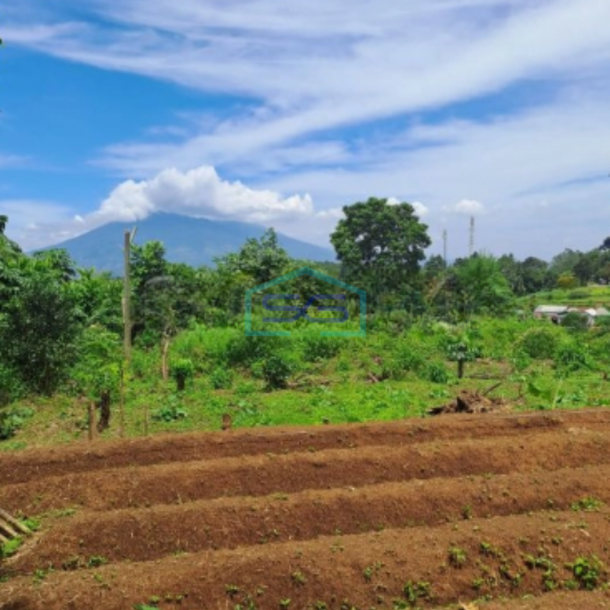 Dijual Tanah di Desa Pasir Angin Megamendung Bogor Luas Tanah 9000m2-2