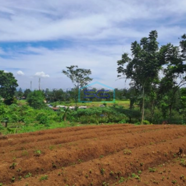 Dijual Tanah di Desa Pasir Angin Megamendung Bogor Luas Tanah 9000m2-1