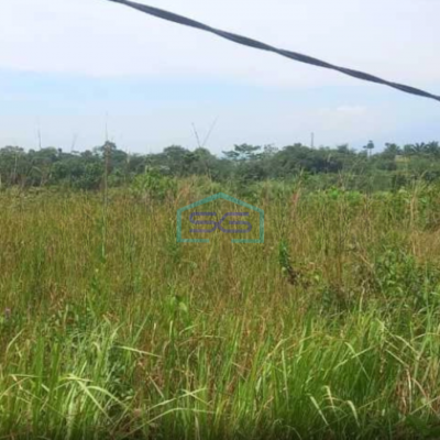 Dijual Tanah Di Sibanteng Leuwisadeng Bogor Luas Tanah 300000 m²