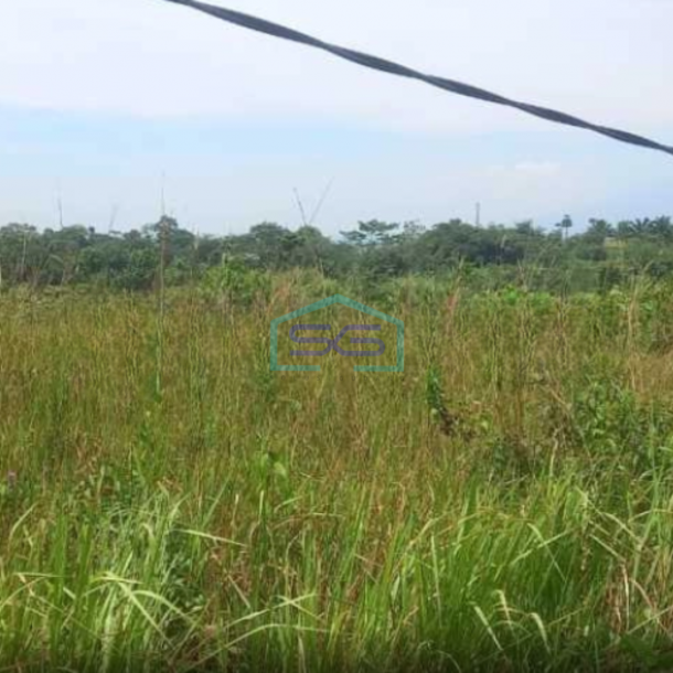 Dijual Tanah Di Sibanteng Leuwisadeng Bogor Luas Tanah 300000 m²-2