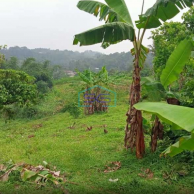 Dijual Tanah Di Cikidang Sukabumi Luas Tanah 30000m2 SHM