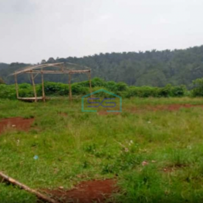 Dijual Tanah Di Cikidang Sukabumi Luas Tanah 30000m2 SHM