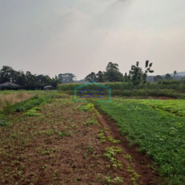 Dijual Tanah di Kemang Bojongkopasus Bogor Luas Tanah 50000m2-2