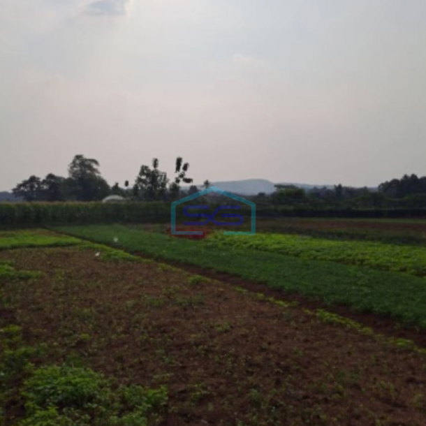 Dijual Tanah di Kemang Bojongkopasus Bogor Luas Tanah 50000m2-1