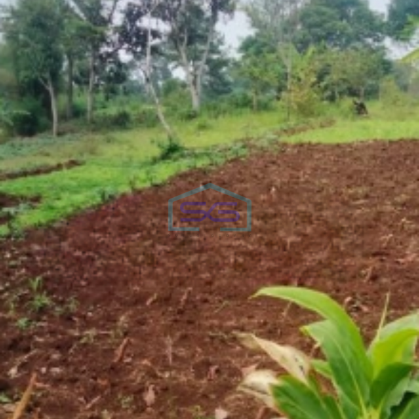 Dijual Tanah Jalur Sumarecon Pasir Angin Samping Kopi Nako Bogor Jawa Barat LT 14000m2-1