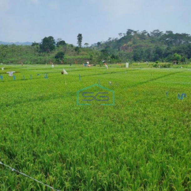 Dijual Tanah di Desa Pabuaran Sukamakmur Bogor Luas Tanah 10000m2-1