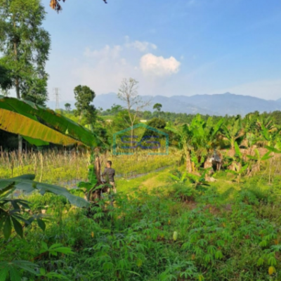 Dijual Tanah Garpan Pasir Angin Cipayung Bogor Luas Tanah 7000m2