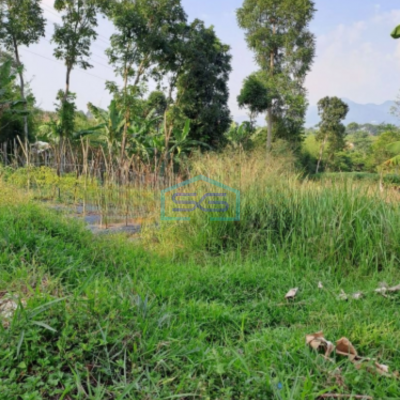 Dijual Tanah Garpan Pasir Angin Cipayung Bogor Luas Tanah 7000m2