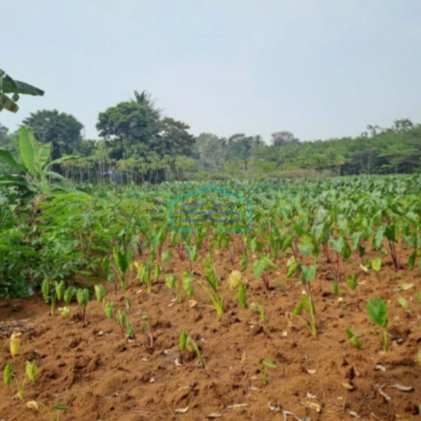 Dijual Tanah Kontur Datar Kemang Pabuaran Bogor Luas Tanah 30000m2-4