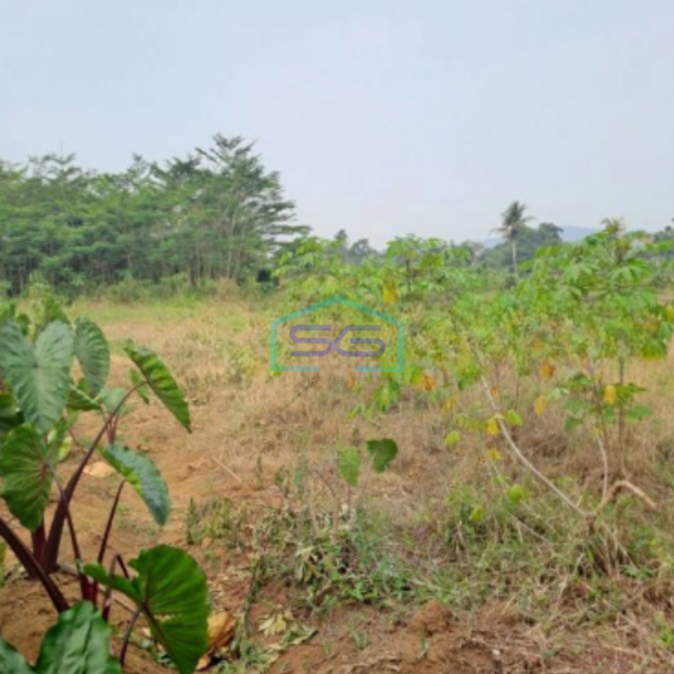 Dijual Tanah Kontur Datar Kemang Pabuaran Bogor Luas Tanah 30000m2-3