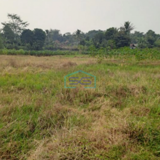 Dijual Tanah Kontur Datar Kemang Pabuaran Bogor Luas Tanah 30000m2-2