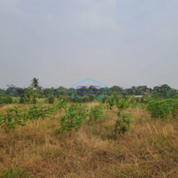 Dijual Tanah Kontur Datar Kemang Pabuaran Bogor Luas Tanah 30000m2-1