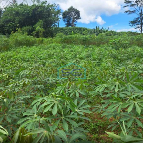 Dijual Tanah Di Kawasan Industri Citeureup Bogor Jawa Barat LT 86000m2-3