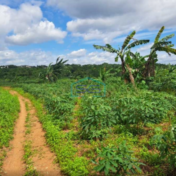 Dijual Tanah Di Kawasan Industri Citeureup Bogor Jawa Barat LT 86000m2-2