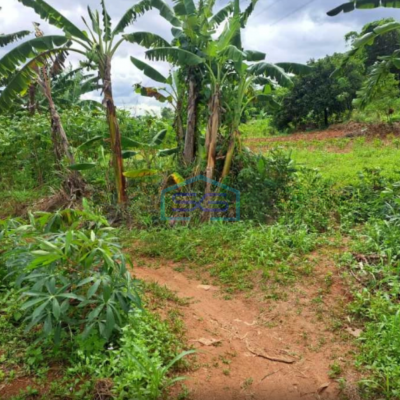 Dijual Tanah Di Kawasan Industri Citeureup Bogor Jawa Barat LT 86000m2