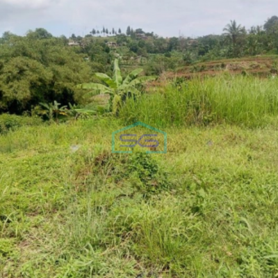 Dijual Tanah Jalan Terobosan Cipayung Puncak Megamendung Bogor LT 2500m2