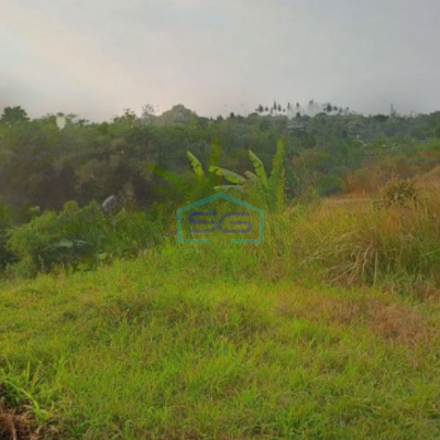 Dijual Tanah Jalan Terobosan Cipayung Puncak Megamendung Bogor LT 2500m2