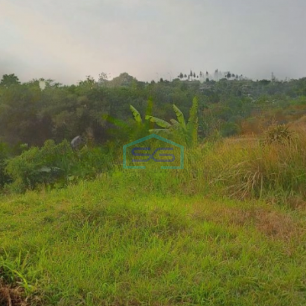 Dijual Tanah Jalan Terobosan Cipayung Puncak Megamendung Bogor LT 2500m2-3