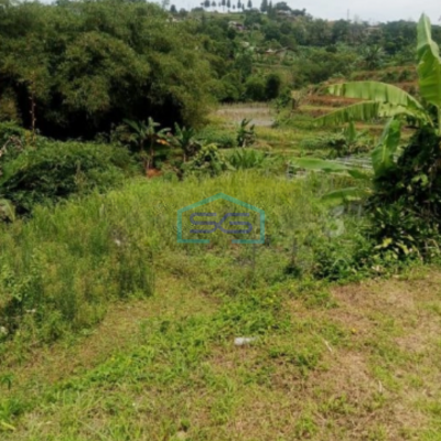Dijual Tanah Jalan Terobosan Cipayung Puncak Megamendung Bogor LT 2500m2