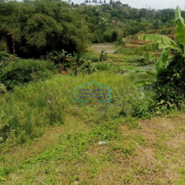 Dijual Tanah Jalan Terobosan Cipayung Puncak Megamendung Bogor LT 2500m2-2
