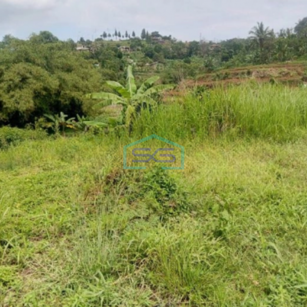 Dijual Tanah Jalan Terobosan Cipayung Puncak Megamendung Bogor LT 2500m2-1