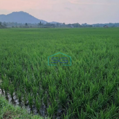 Dijual Tanah Lokasi Strategis Di Rumpin Bogor Luas Tanah 1000m2