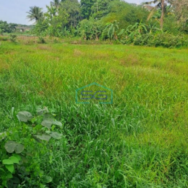 Dijual Tanah Di Kemang Bogor Luas Tanah 13000m2-3