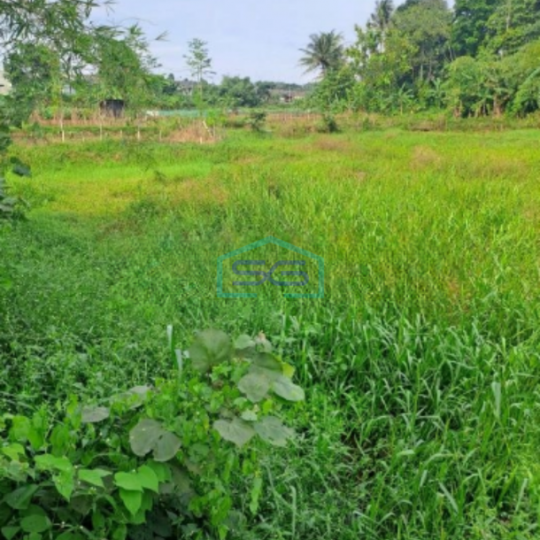 Dijual Tanah Di Kemang Bogor Luas Tanah 13000m2-1