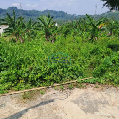 Dijual Tanah Rumpin Kabupaten Bogor Luas Tanah 12000m2