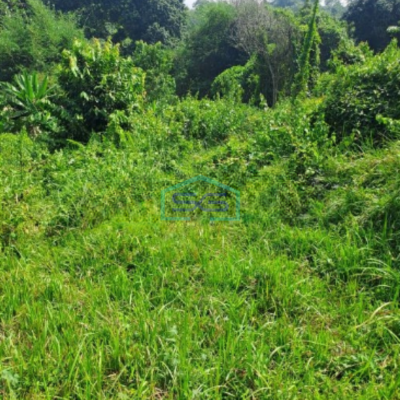 Dijual Tanah Rumpin Kabupaten Bogor Luas Tanah 12000m2