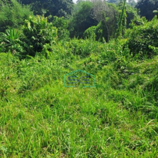 Dijual Tanah Rumpin Kabupaten Bogor Luas Tanah 12000m2-2