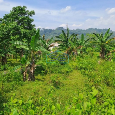 Dijual Tanah Rumpin Kabupaten Bogor Luas Tanah 12000m2