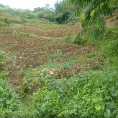 Dijual Tanah Desa di Cicadas Ciampea Bogor Luas 350000m2