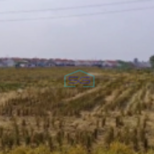 DIjual Tanah Di Tambun Utara Bekasi Jawa Barat Luas 12000 Luas Tanah  12000 m²-2